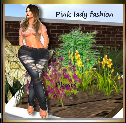 Indulge planter