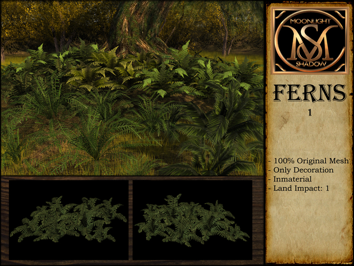 "Moon_Sha" Ferns 1 (Boxed)