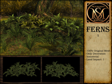 "Moon_Sha" Ferns 1 (Boxed)