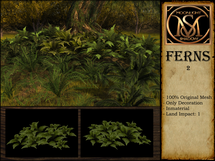 "Moon_Sha" Ferns 2 (Boxed)