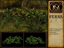 "Moon_Sha" Ferns 3 (Boxed)