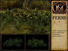 "Moon_Sha" Ferns 4 (Boxed)