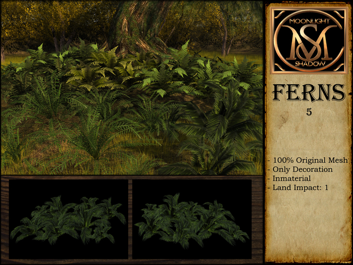 "Moon_Sha" Ferns 5 (Boxed)