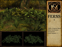 "Moon_Sha" Ferns 5 (Boxed)