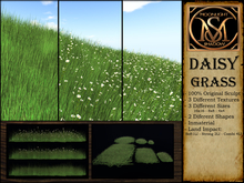 "Moon_Sha" Daisy Grass (Boxed)