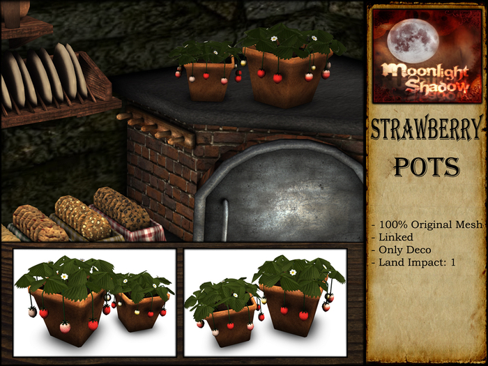 "Moon_Sha" Strawberry Pots (Trans)