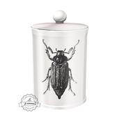 17.erratic / coc - beetle jar