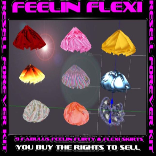 Feelin Flexi Business In a Box And Boxed set