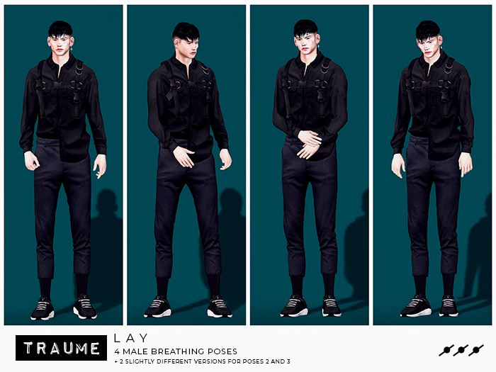 TRAUME - LAY POSES