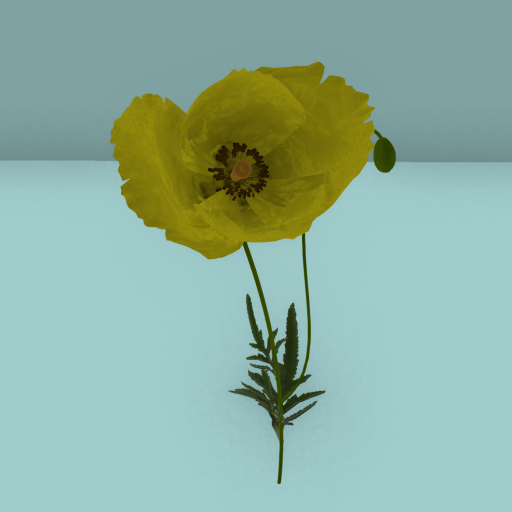 {Papillon} Poppy Starter