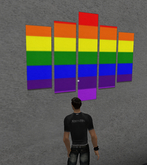 Rainbow flag canvas panels wall art MOD TRANS