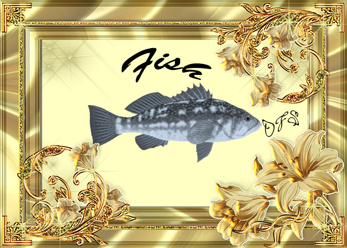 DFS Fish Textures