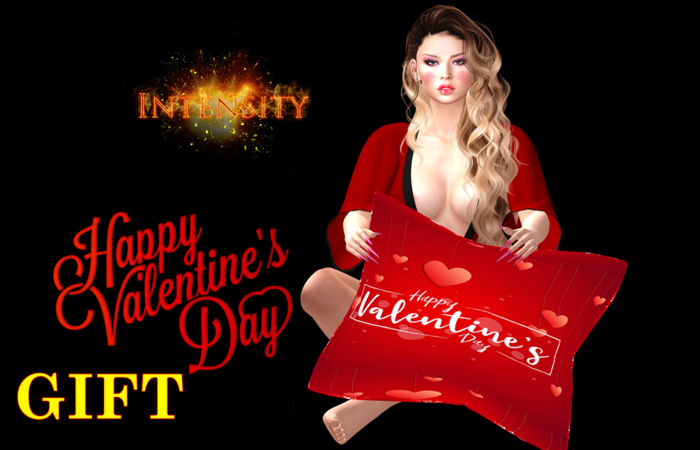 *INT*  Mesh Pillow VALENTINE'S DAY  GIFT
