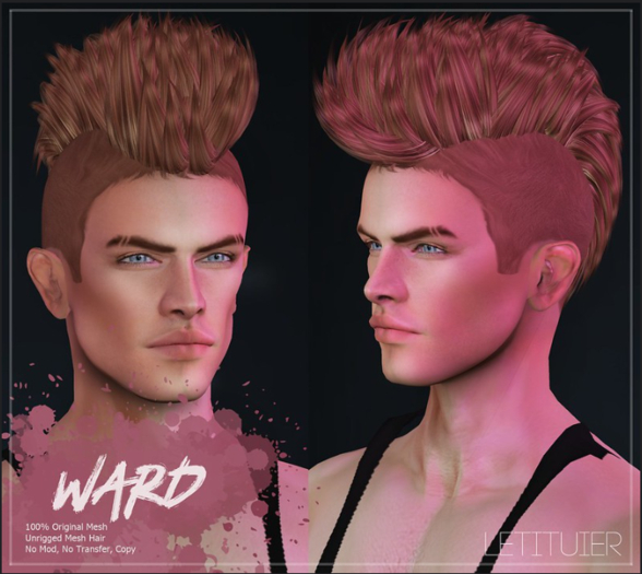 {Letituier} Ward Hair - Fatpack