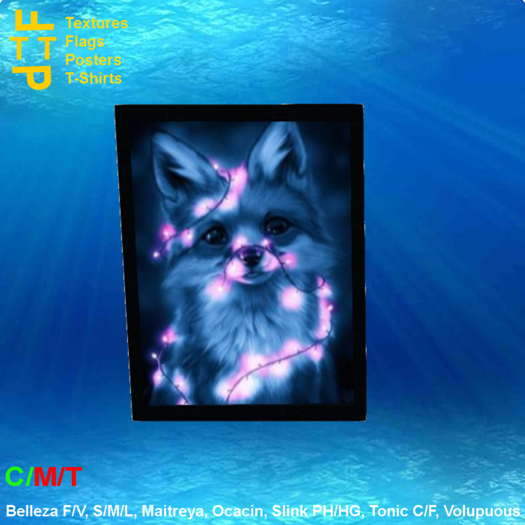 Picture frame blue fox lights