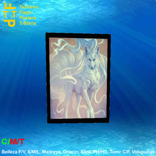Picture frame kitsune 9 tail