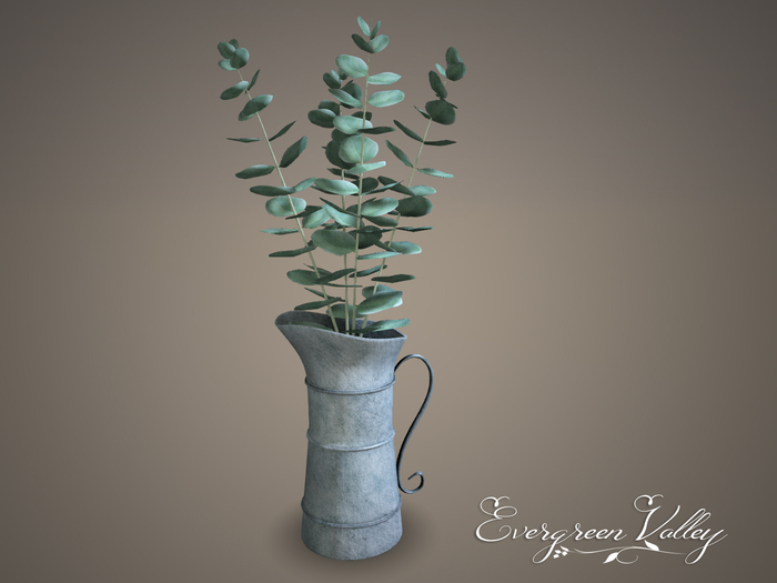 EV - Zinc Pitcher  Eucalyptus