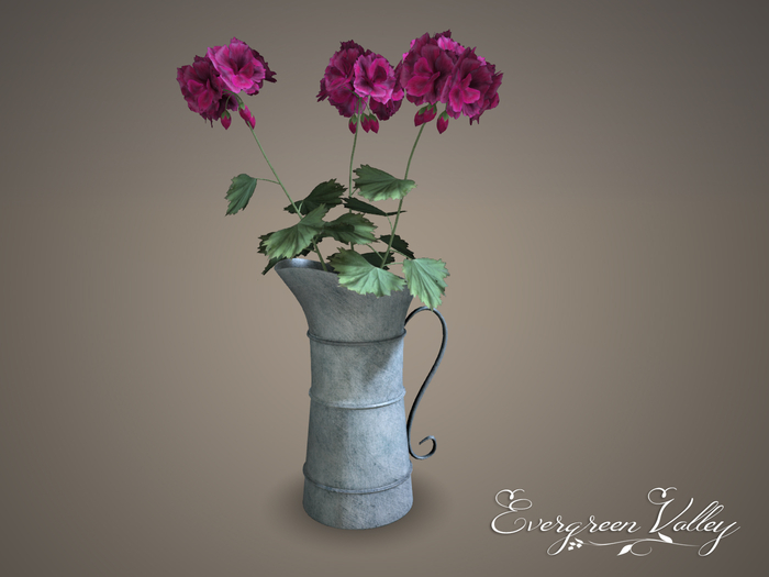 Vase Zinc Pitcher  Pelargonium