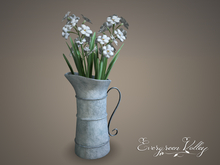 Vase Zinc Pitcher Paperwhite