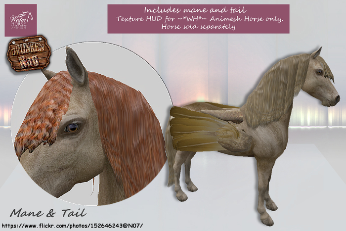 DN' WHMANE - Locks Ginger