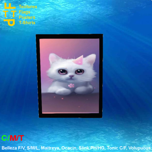 Picture frame white kitty party hat