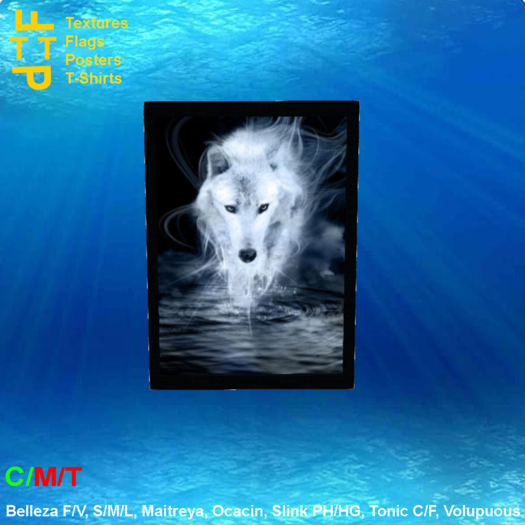 Picture frame white wolf water