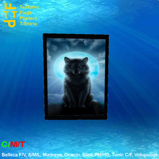 Picture frame wolf full blue moon