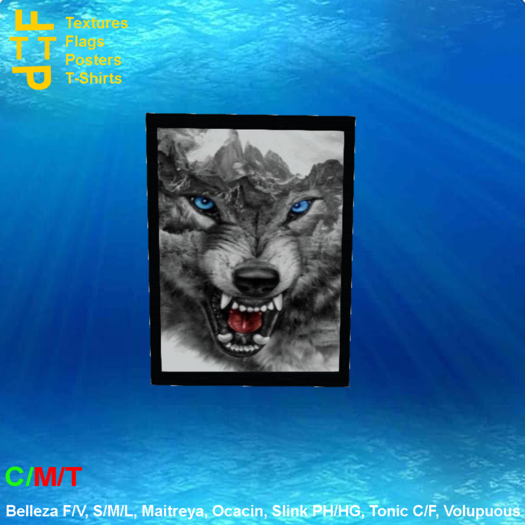 Picture frame wolf mountain head