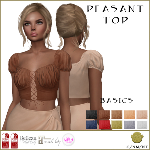 BM Peasant Top Basics