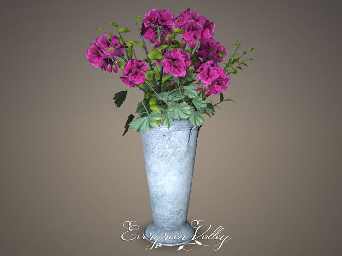 EV - Zinc Vase Pelargonium Pink