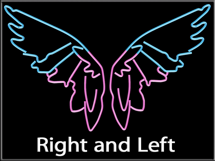 [Feliz] Neon Wings - Mesh - Full Perm -
