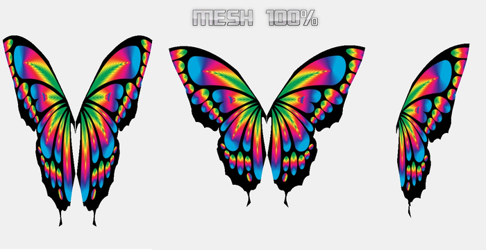 WINGS butterfly