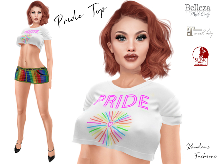 Pride Cropped Top 2