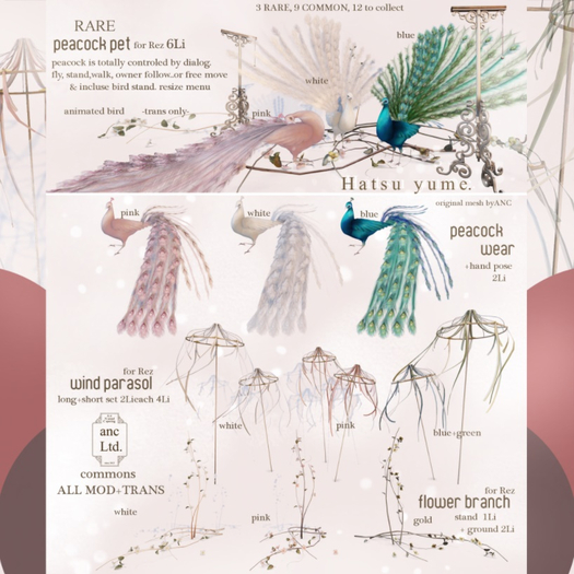 {anc} box) Hatsuyume / wind parasol pink