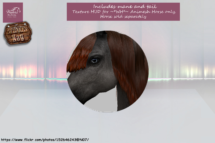 DN' WHMANE - Silk Ginger