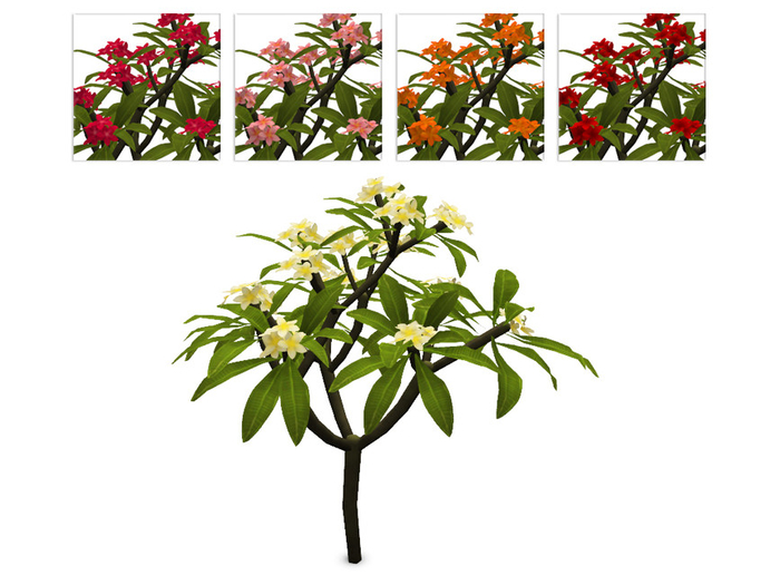 Groot Tree mari FULL PERM