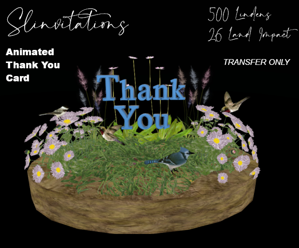 Slinvitations Animated Thank You Bird Card *boxed*