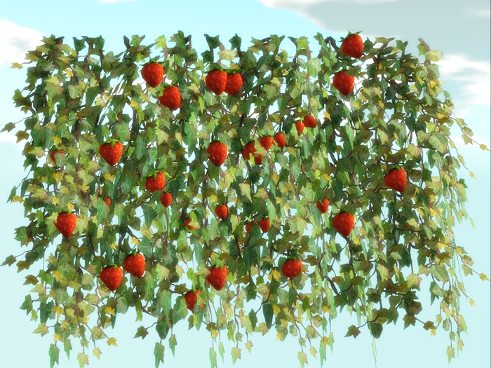 Lop Backdrops Strawberry Wall  (box)