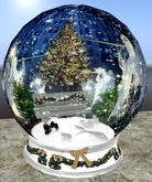 (In)Discretions NY nights couples snowglobe w/music