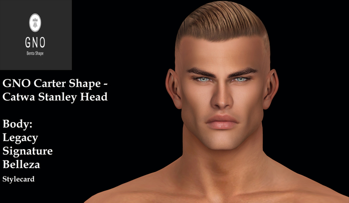 Second Life Marketplace - GNO Carter Shape - Catwa Stanley Head