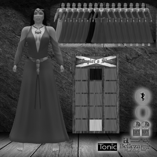 DEMO Shy Medieval Fantasy Gown Box MP
