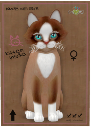 KittyCatS Box - Chateau Cat - Toffee Caramel