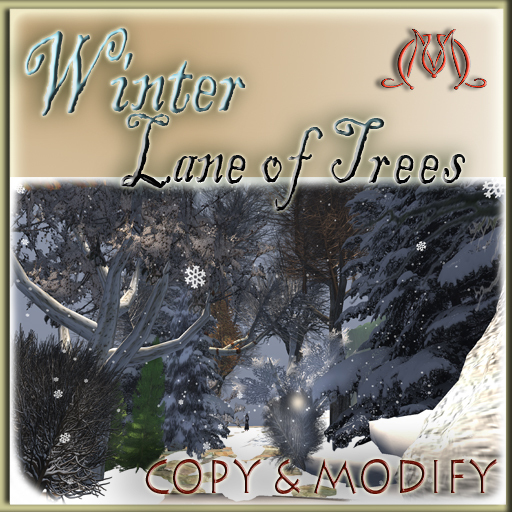 Winter Lane of Trees Box