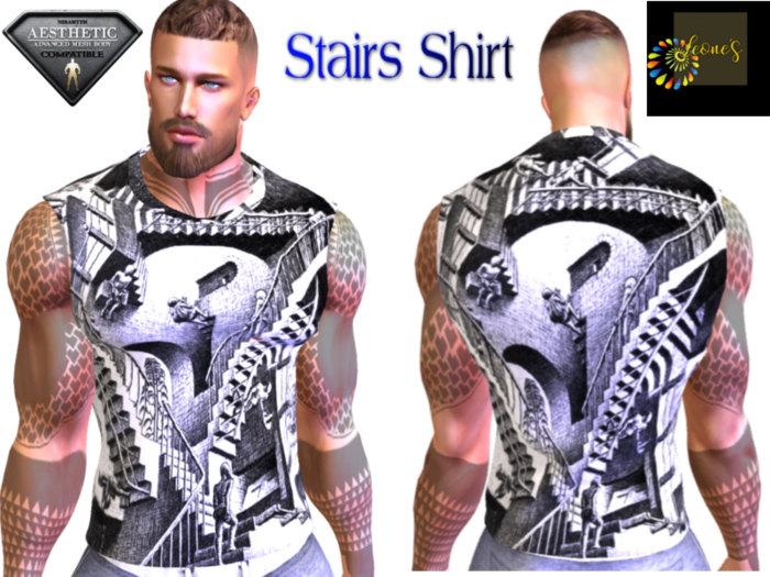 Stairs Shirt AES