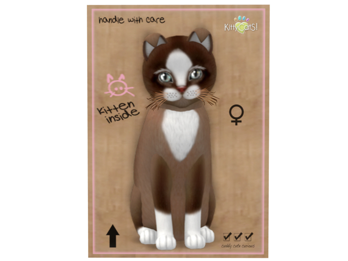 KittyCatS Box - 8 T - F - Chateau Cat - Toffee Caramel