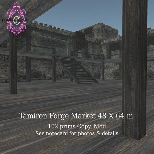 Tamiron Forge Market 48X64 (06/2020)
