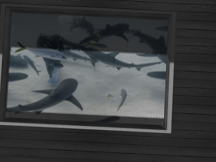 Samara Creation Shark tank Beach Club(Boxed)