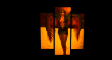 ~HBD~ Part Picture 2 - Angel of Valor (priu)