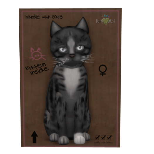 Second Life Marketplace KittyCatS Box New Born Kitten