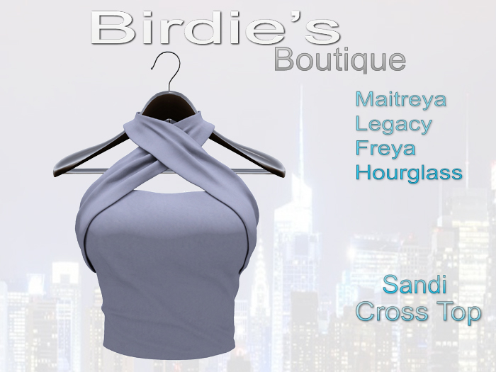 Birdie's Boutique - Sandi Crossed Top Blue